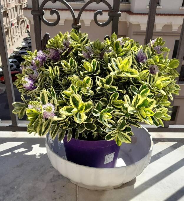 Casa Jole, Appartamento In Centro باري المظهر الخارجي الصورة